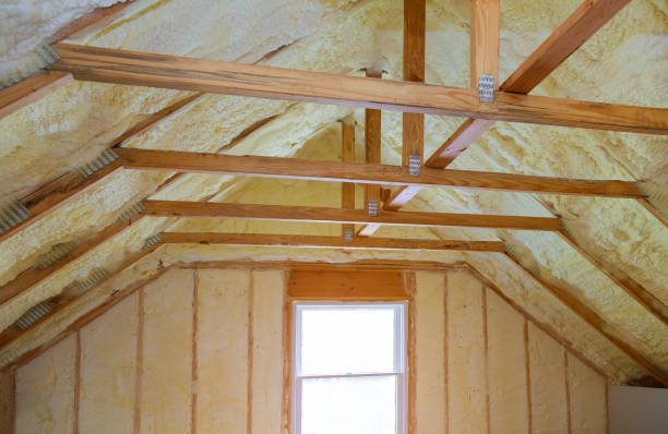 Best Insulation Maintenance and Repair in Woodfin, NC